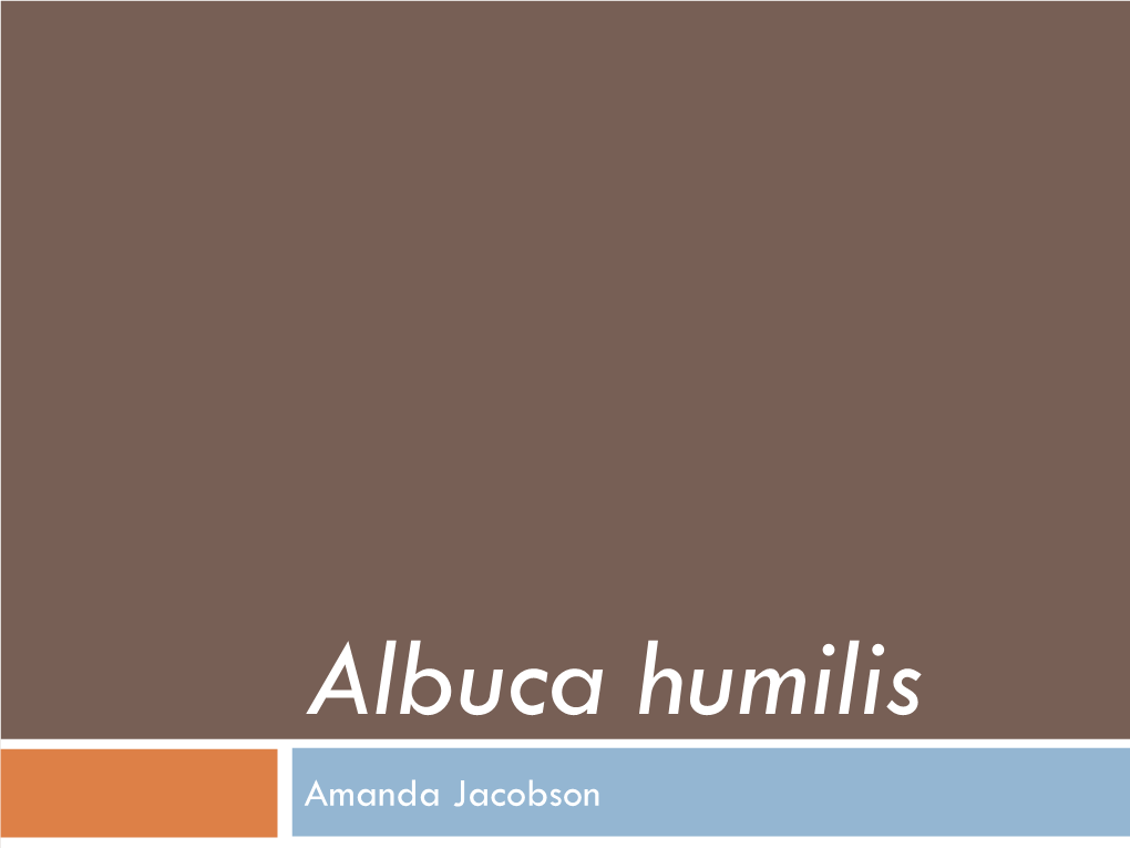 Albuca Humilis Amanda Jacobson Ppt.Pdf