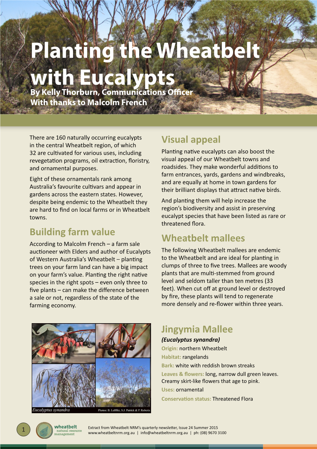 Planting the Wheatbelt with Eucalypts by Kelly Thorburn, Communications Officer with Thanks to Malcolm French