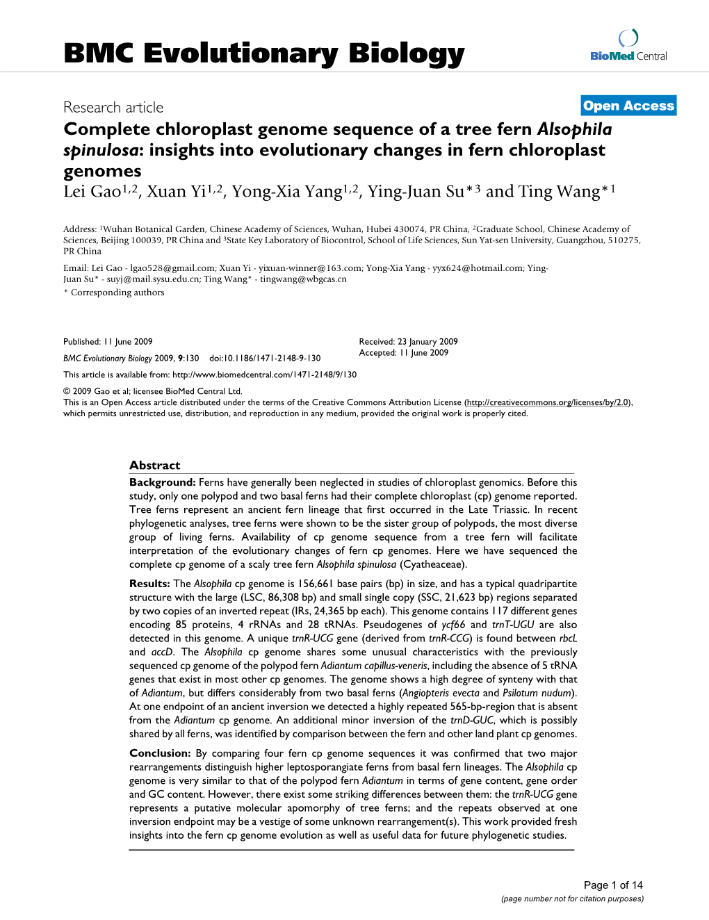 Complete Chloroplast Genome Sequence of a Tree Fern Alsophila