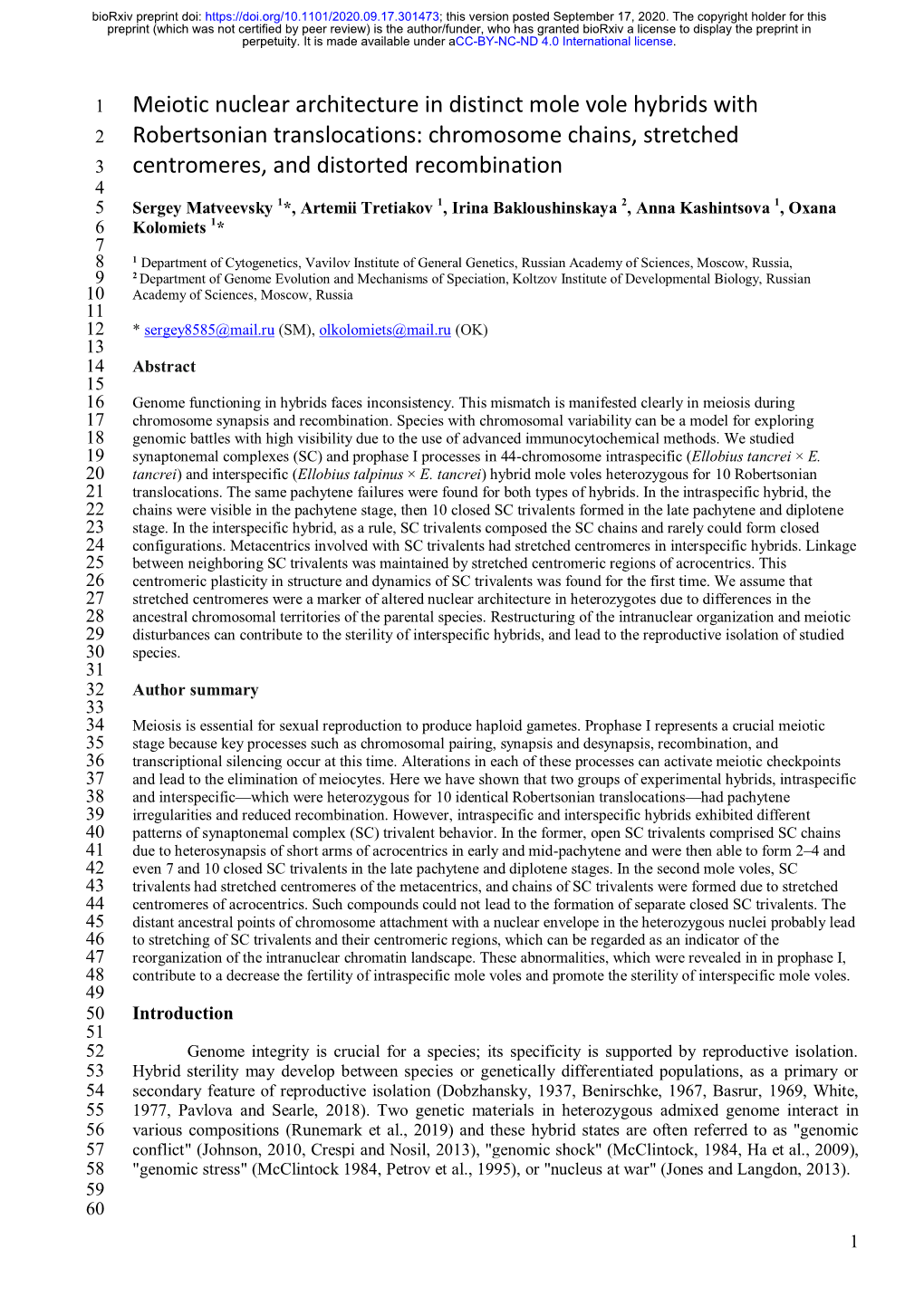 Meiotic Nuclear Architecture in Distinct Mole Vole Hybrids with Robertsonian Translocations: Chromosome Chains, Stretched Centromeres, and Distorted Recombination