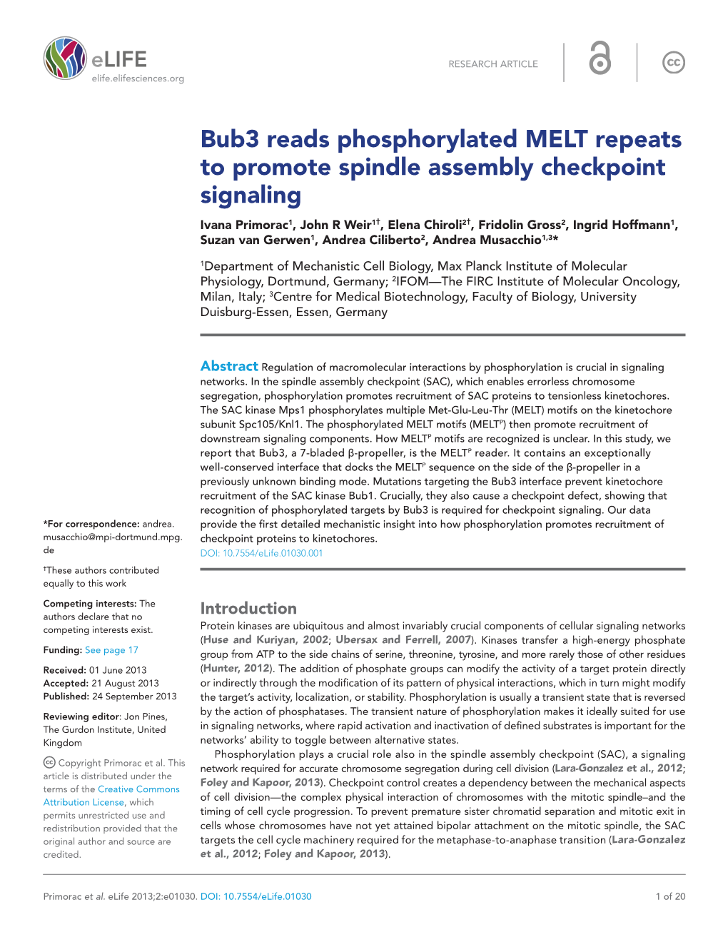 Bub3 Reads Phosphorylated MELT Repeats to Promote Spindle