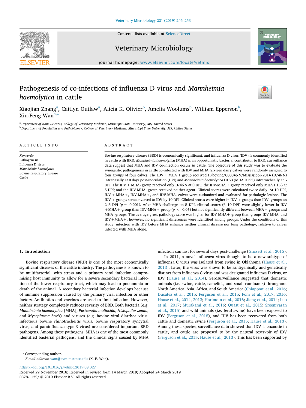 Pathogenesis of Co-Infections of Influenza D Virus and Mannheimia