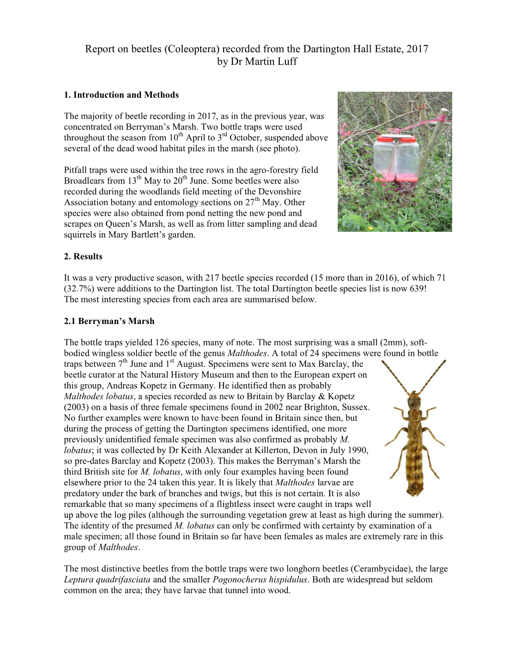 Report on Beetles (Coleoptera) Recorded from the Dartington Hall Estate, 2017 by Dr Martin Luff