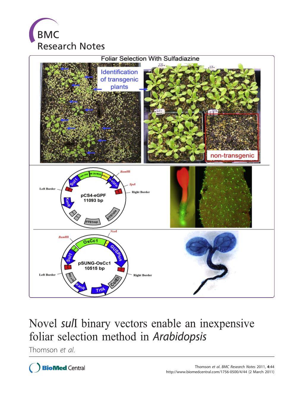 Novel Suli Binary Vectors Enable an Inexpensive Foliar Selection Method in Arabidopsis Thomson Et Al