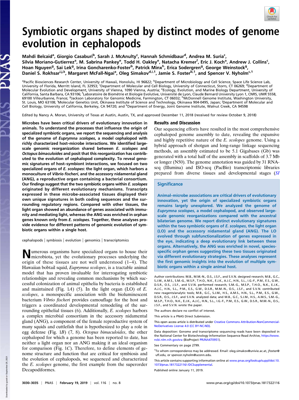 Symbiotic Organs Shaped by Distinct Modes of Genome Evolution in Cephalopods