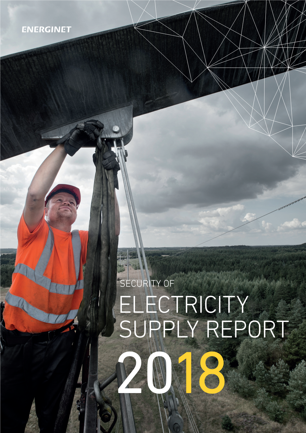 SECURITY of ELECTRICITY SUPPLY REPORT 2018 2 Security of Electricity Supply Report 2018 Security of Electricity Supply Report 2018 3