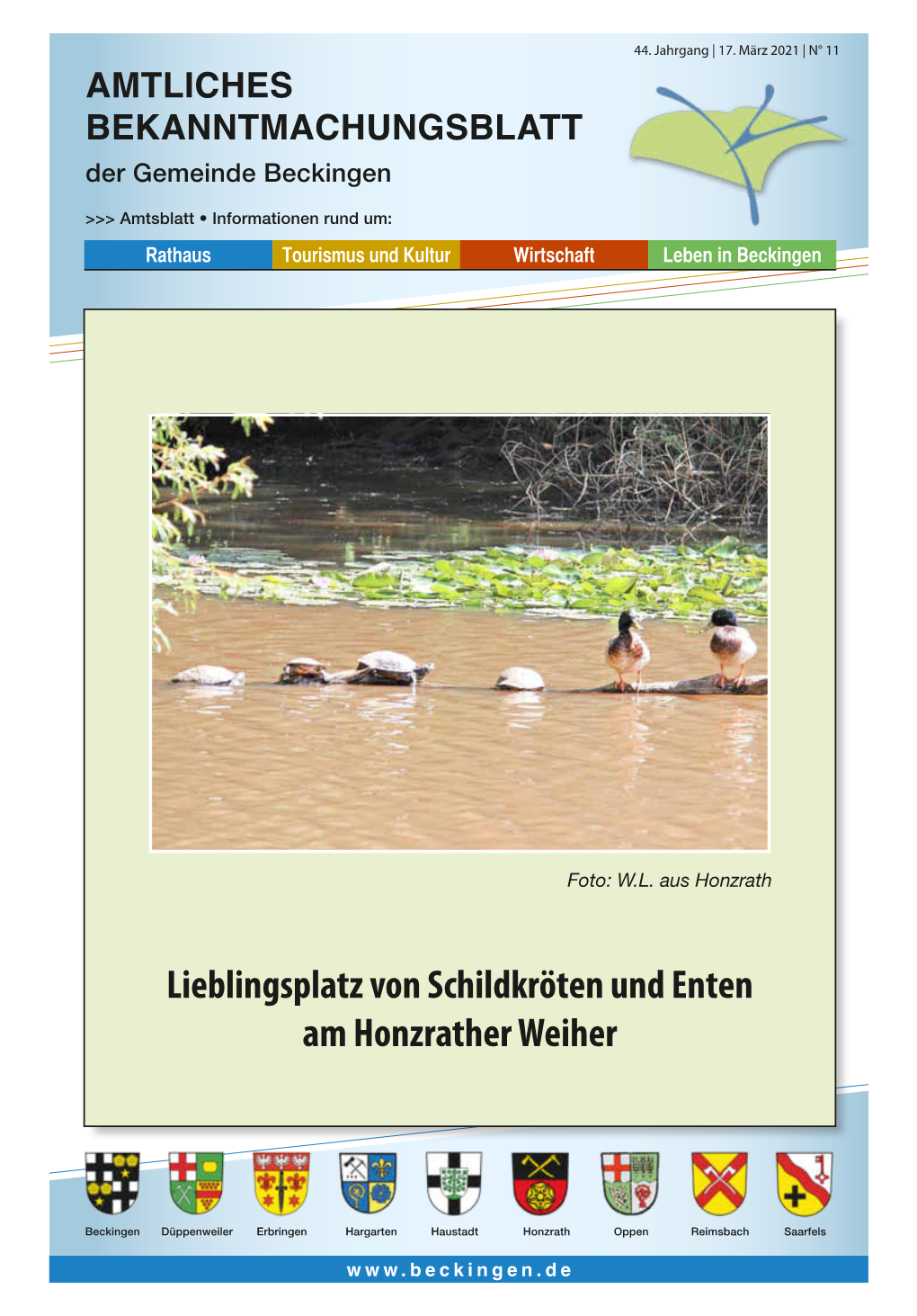 Lieblingsplatz Von Schildkröten Und Enten Am Honzrather Weiher