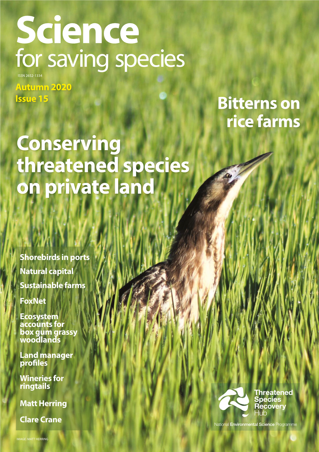 For Saving Species ISSN 2652-1334 Autumn 2020 Issue 15 Bitterns on Rice Farms Conserving Threatened Species on Private Land