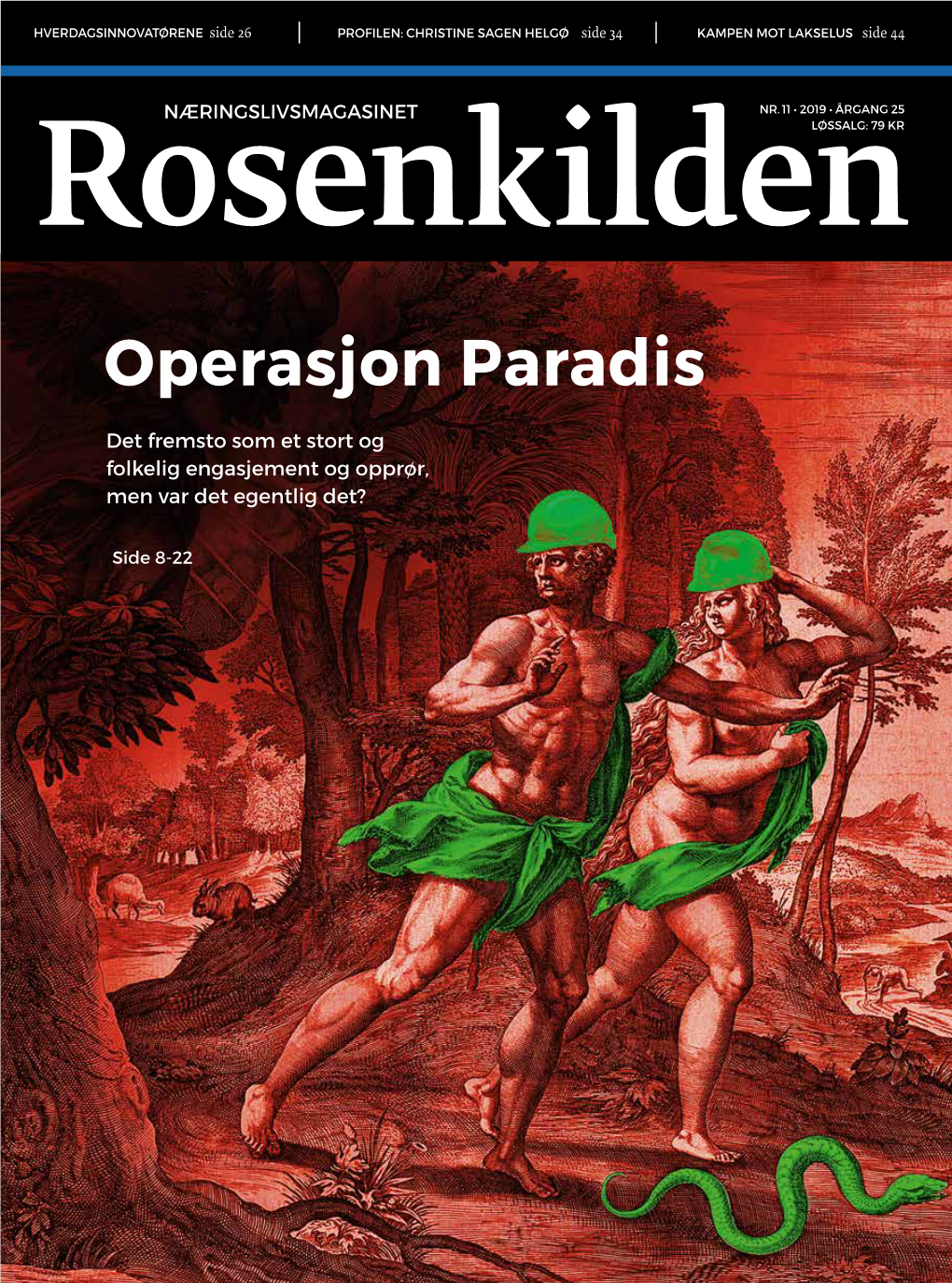 Operasjon Paradis