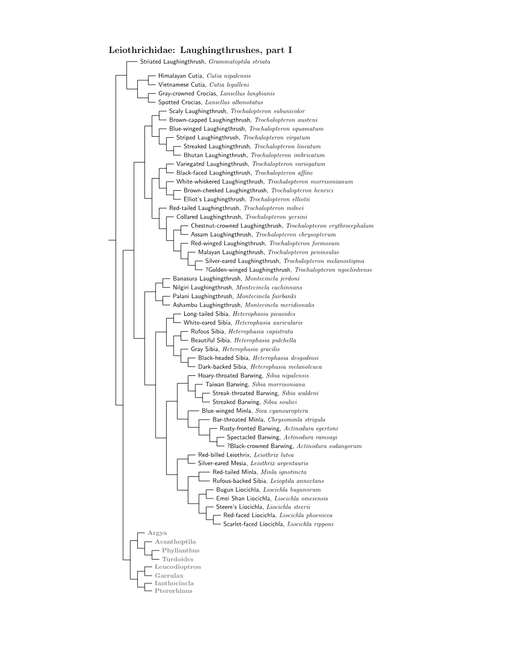 Leiothrichidae Species Tree