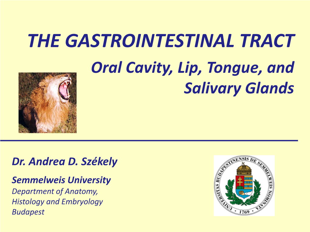 Oral Cavity, Lip, Tongue, and Salivary Glands