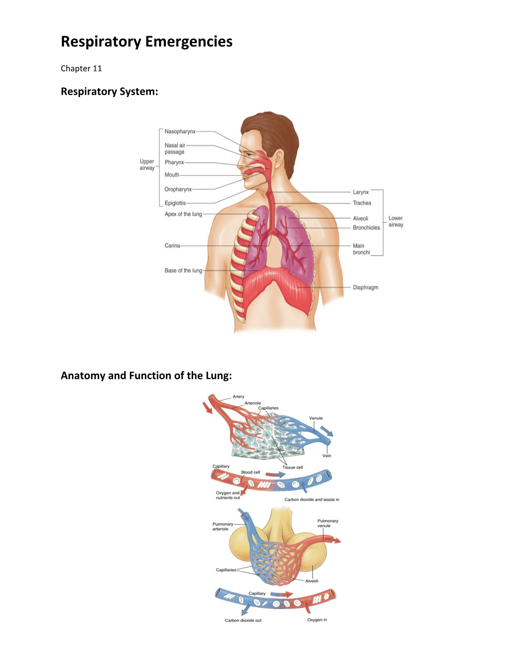 Respiratory Emergencies