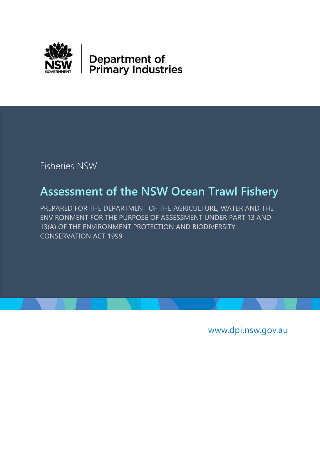Assessment of the NSW Ocean Trawl Fishery