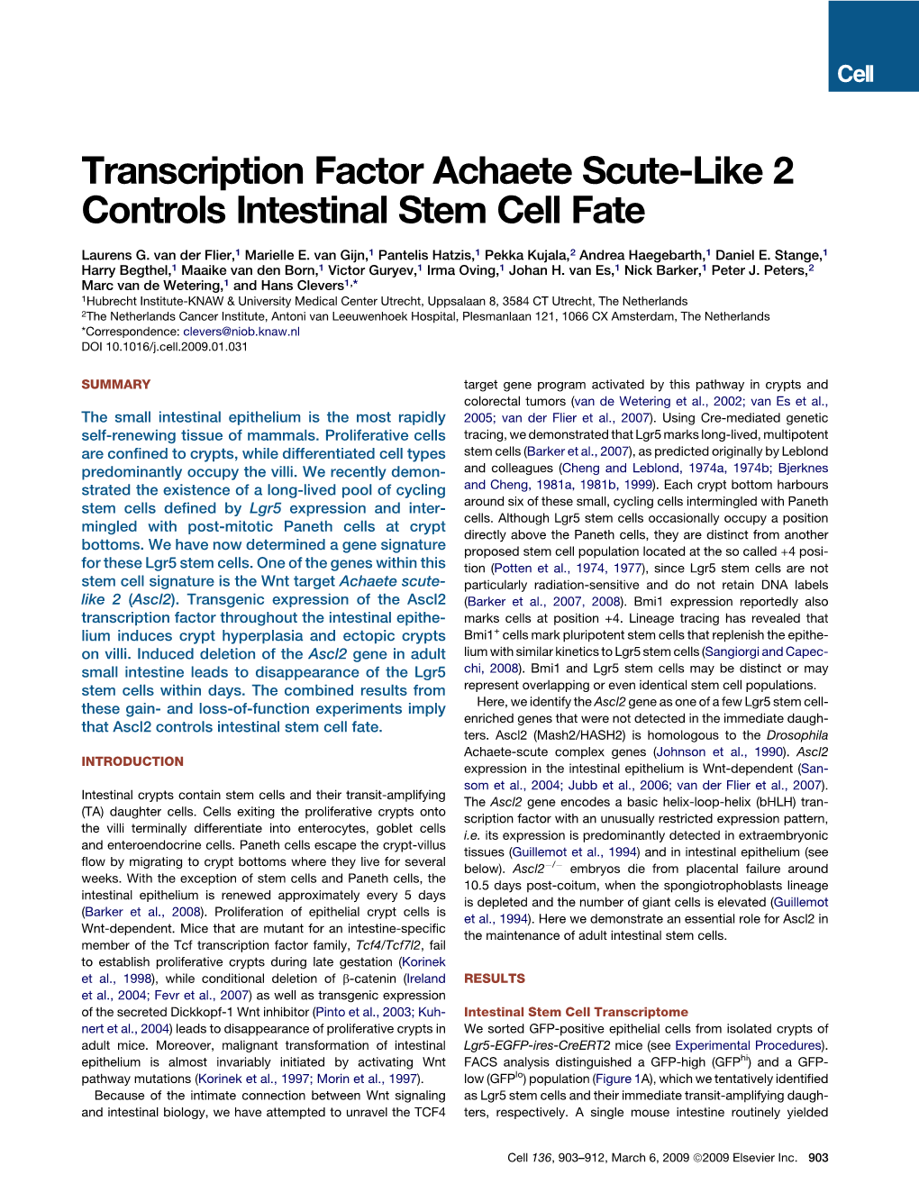 Transcription Factor Achaete Scute-Like 2 (Ascl2)