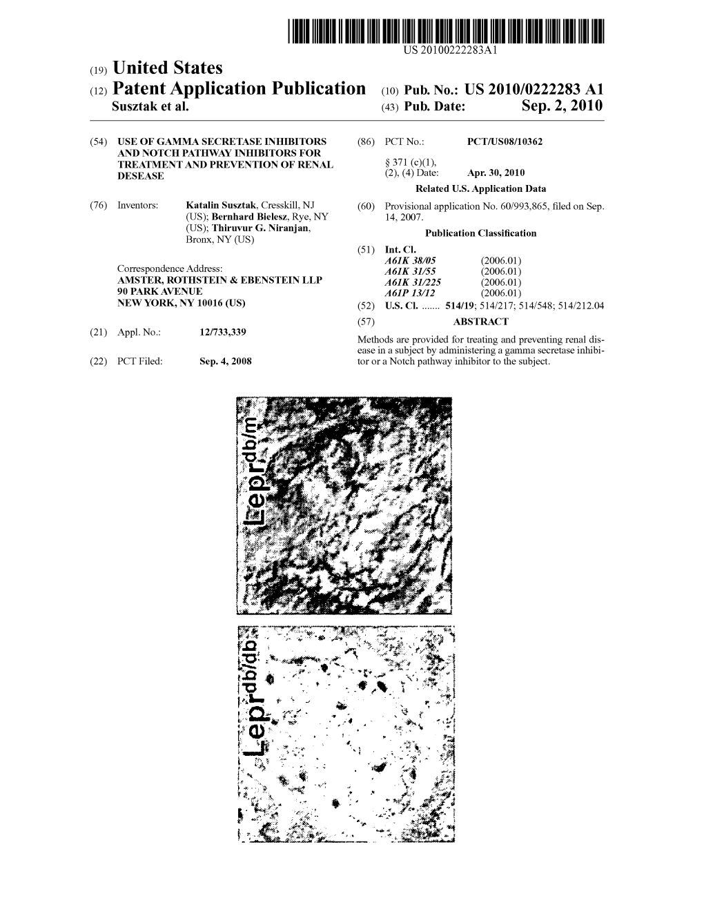 (12) Patent Application Publication (10) Pub. No.: US 2010/0222283 A1 Susztak Et Al