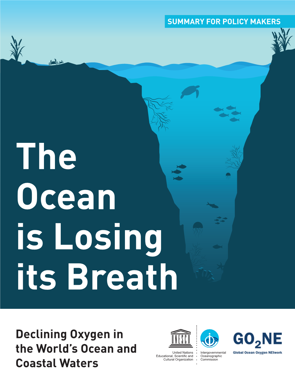 Declining Oxygen in the World's Ocean and Coastal Waters