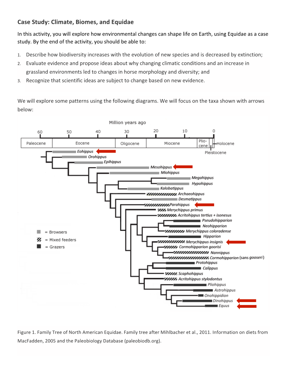 Case Study: Climate, Biomes, and Equidae in This Activity, You Will Explore How Environmental Changes Can Shape Life on Earth, Using Equidae As a Case Study