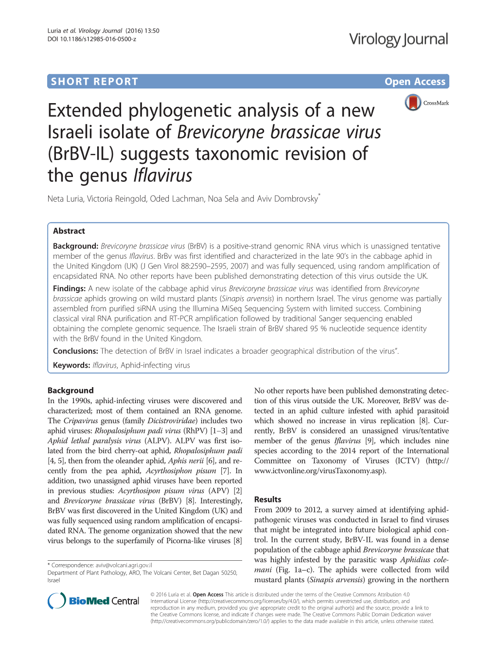 Extended Phylogenetic Analysis of a New Israeli Isolate of Brevicoryne