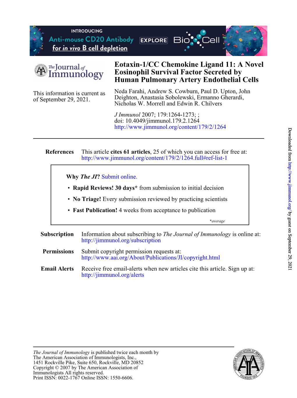 Human Pulmonary Artery Endothelial Cells