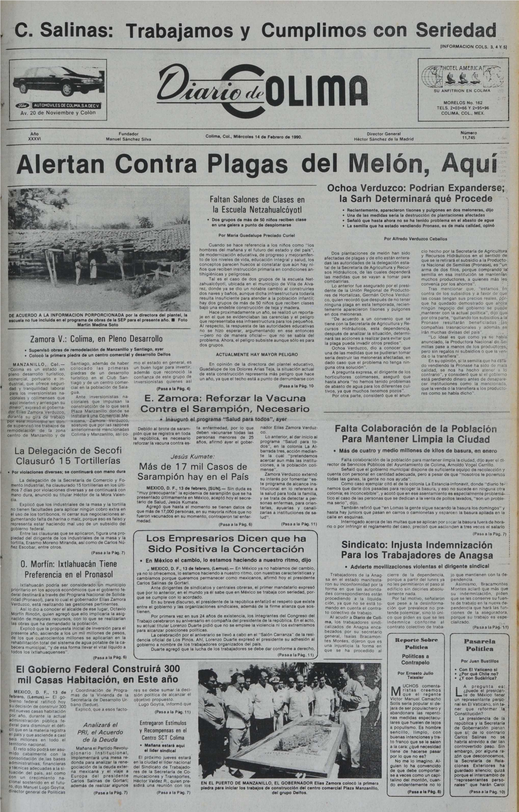 Alertan Contra Plagas Del Melón, Aquí