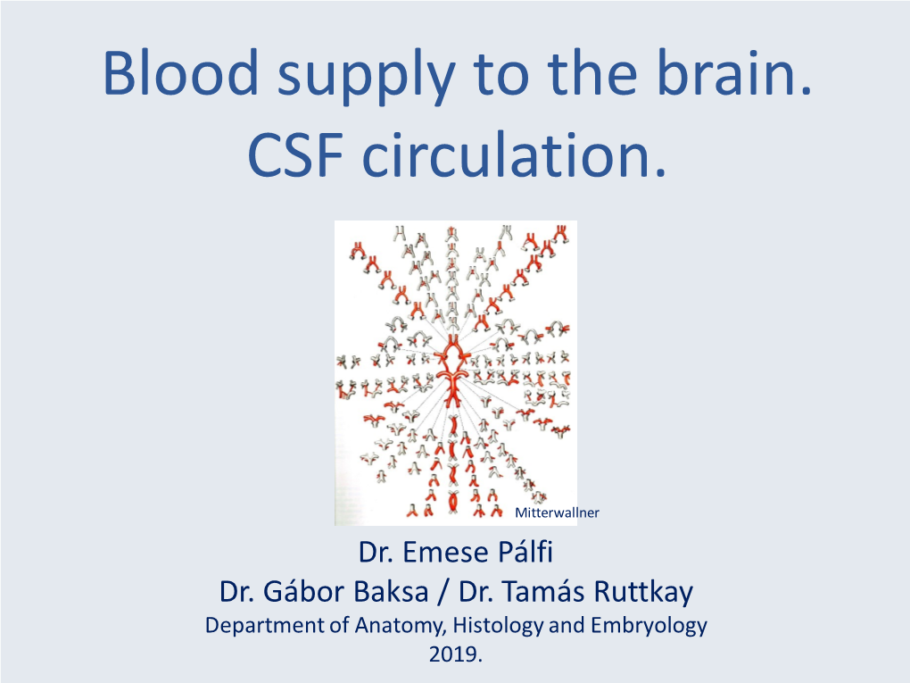 Blood Supply to the Brain. CSF Circulation