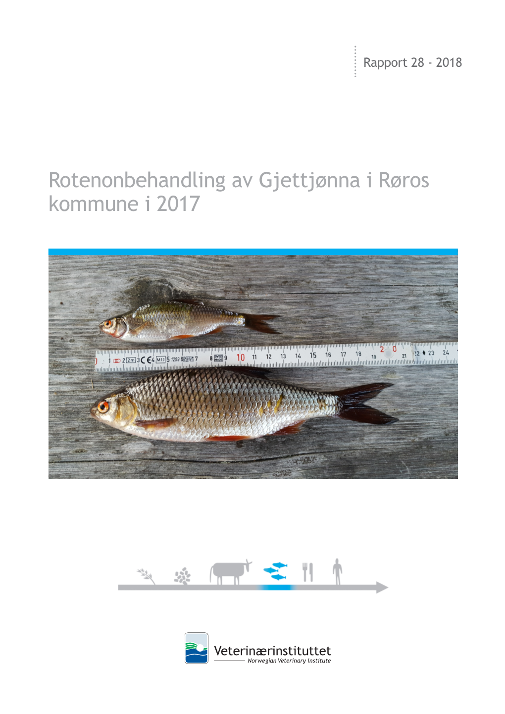 Rotenonbehandling Av Gjettjønna I Røros Kommune I 2017 VETERINÆRINSTITUTTET