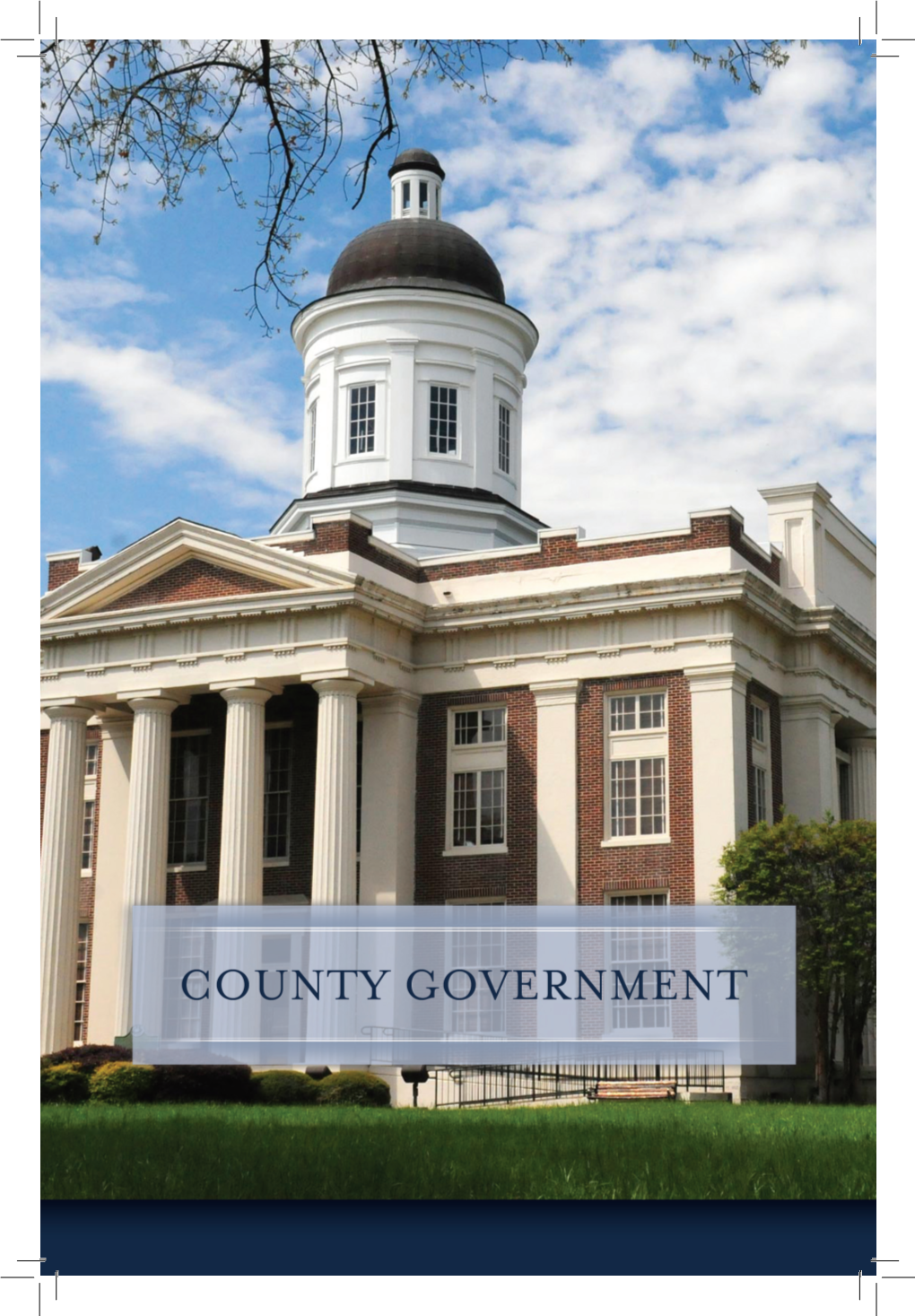 County Government