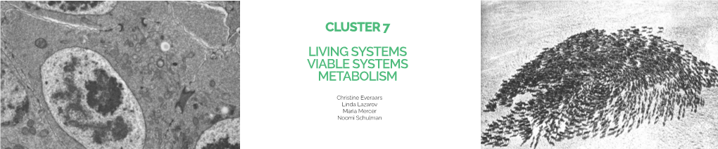 Living Systems Viable Systems Metabolism