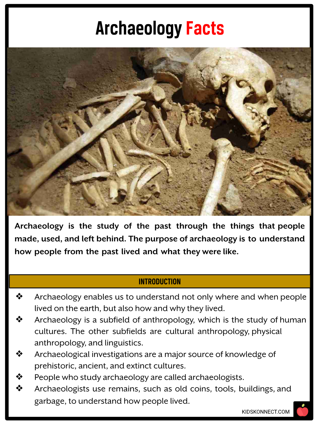 Archaeology Facts