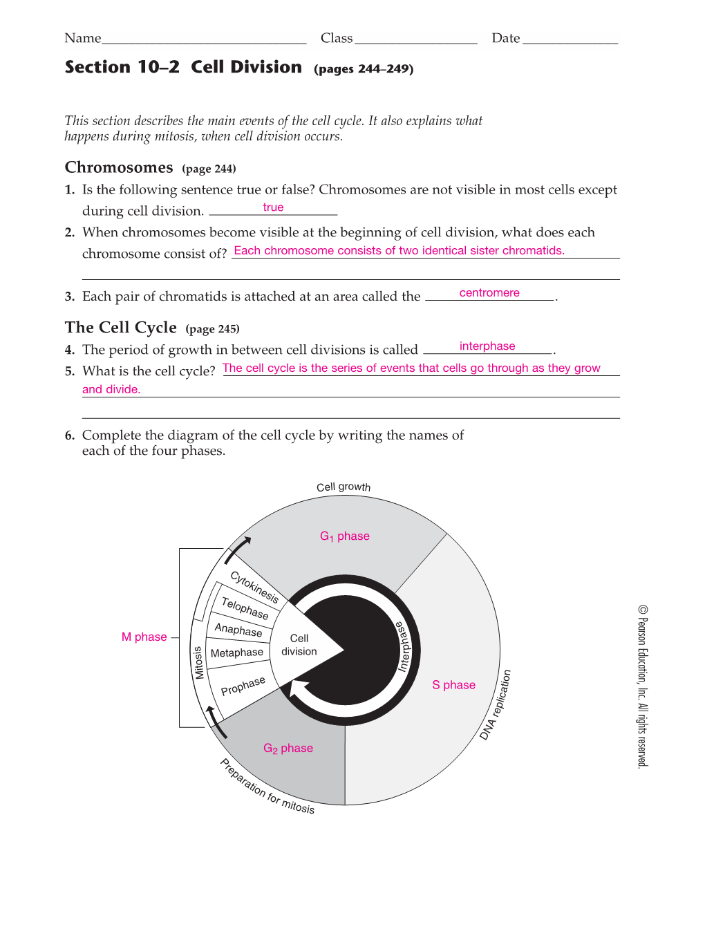 Section 10–2 Cell Division (Pages 244–249)