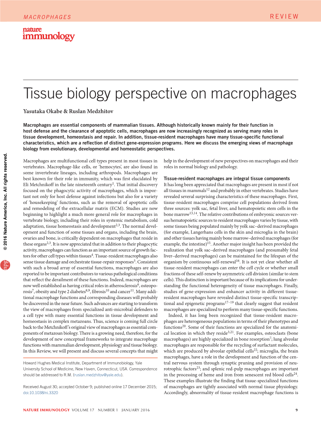 Tissue Biology Perspective on Macrophages