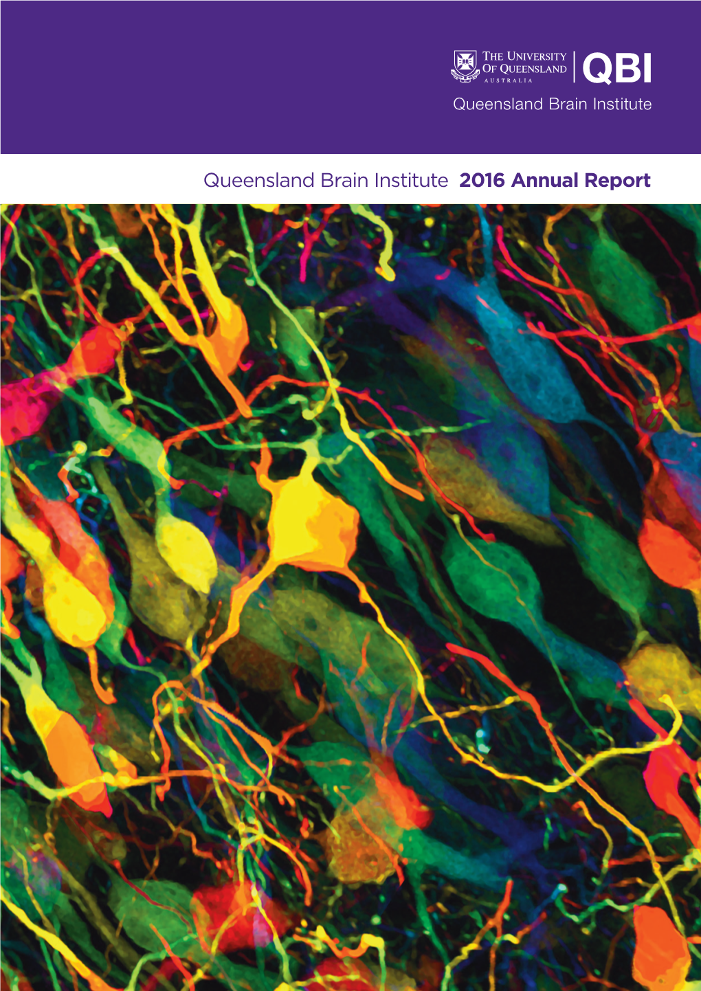 Queensland Brain Institute 2016 Annual Report Director’S Message