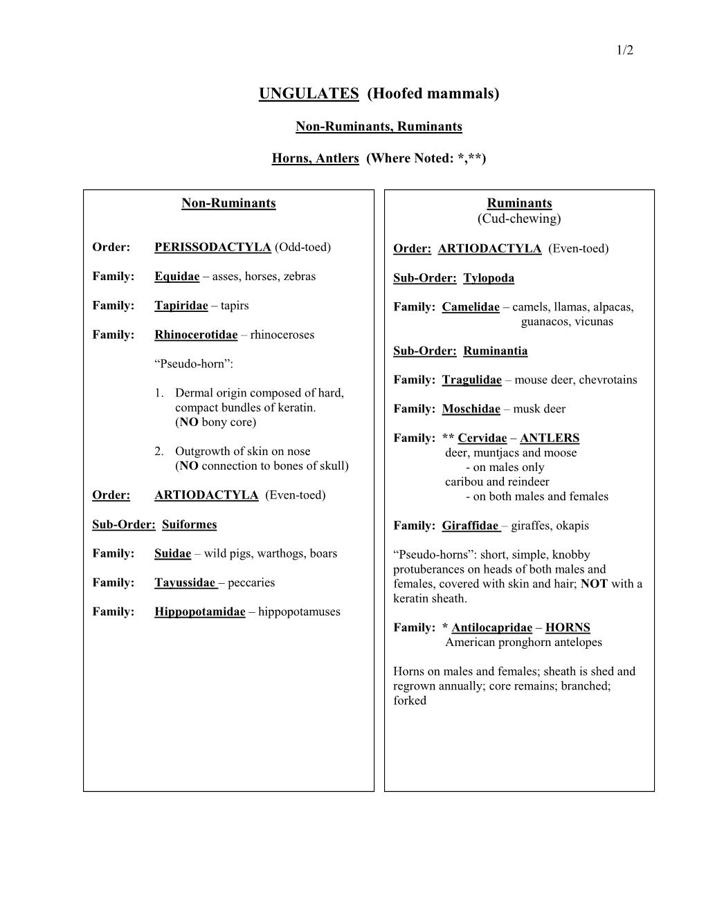 UNGULATES (Hoofed Mammals)