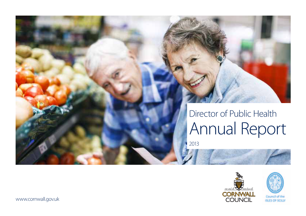 Director of Public Health Annual Report 2013