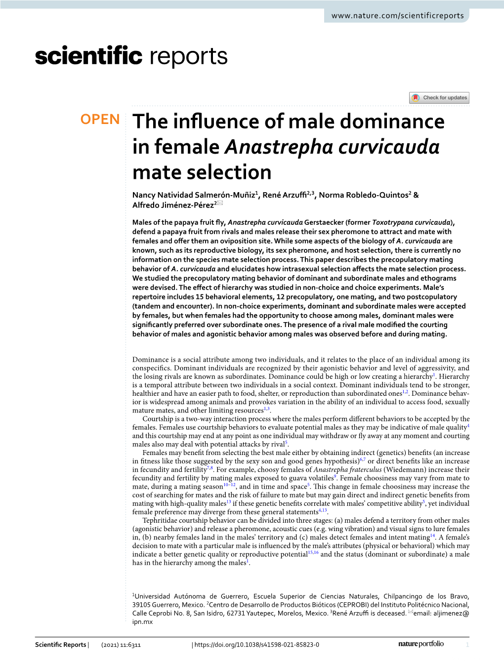 The Influence of Male Dominance in Female Anastrepha Curvicauda