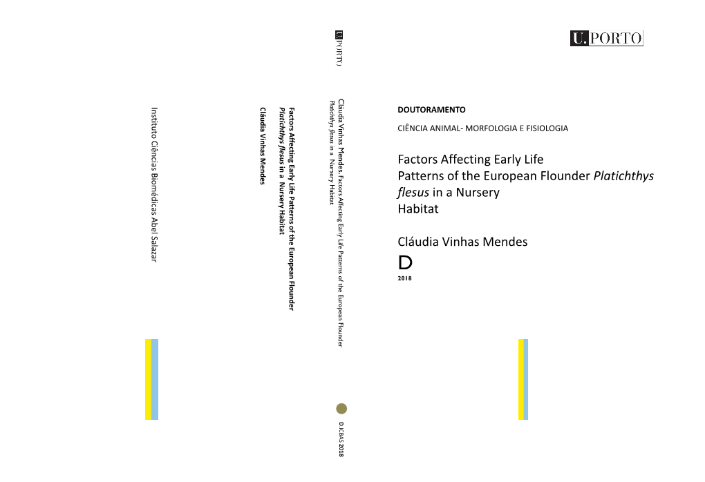 Factors Affecting Early Life Patterns of the European Flounder Platichthys Flesus in a Nursery Habitat