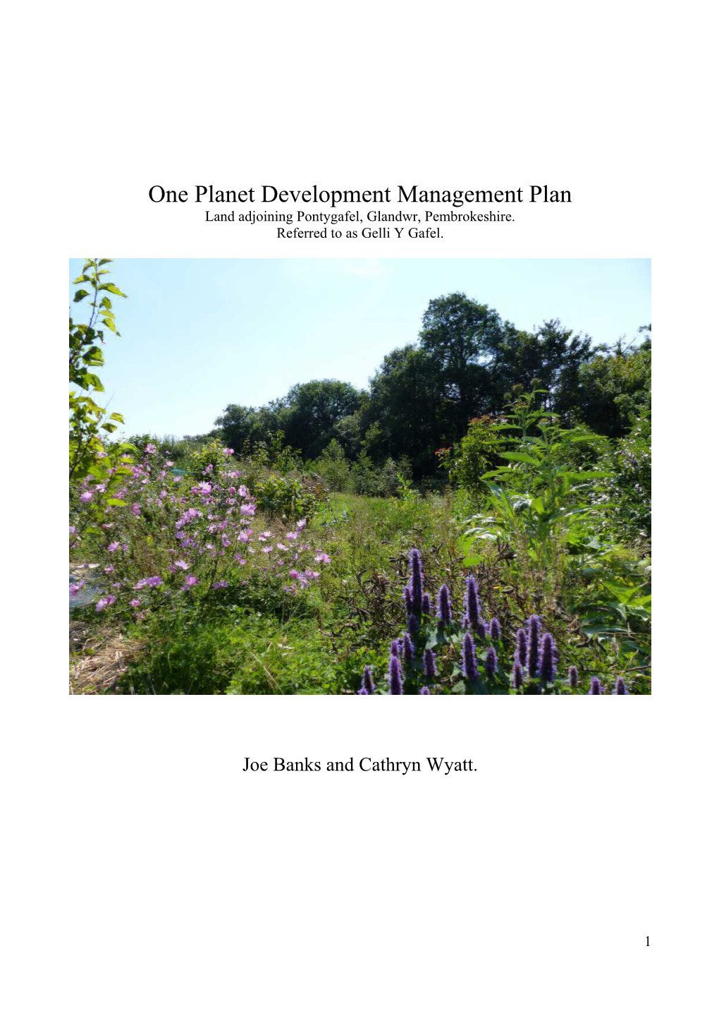 One Planet Development Management Plan Land Adjoining Pontygafel, Glandwr, Pembrokeshire