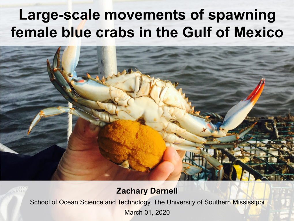 Update on Gulf-Wide Blue Crab Tagging Study