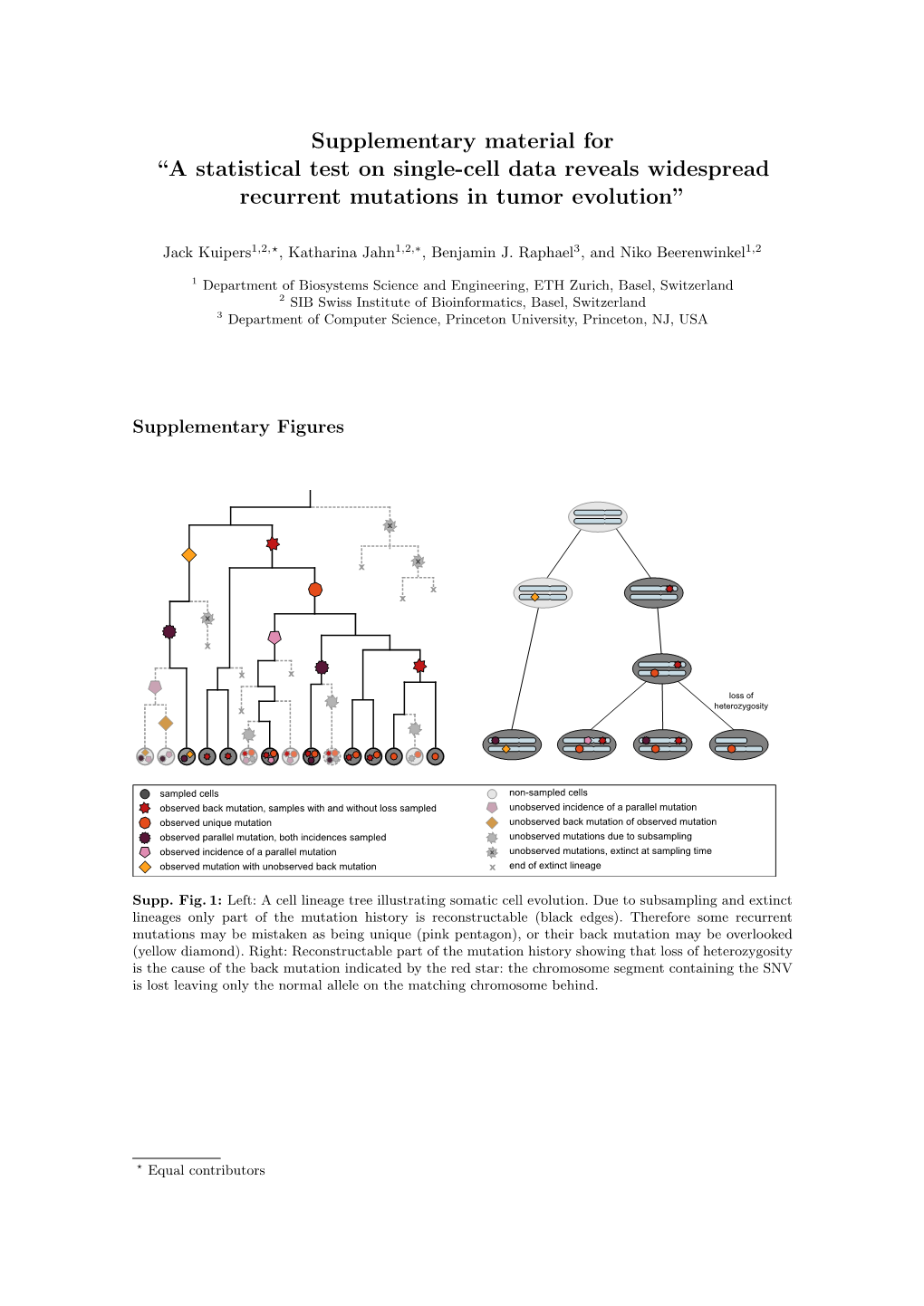 A Statistical Test on Single-Cell Data Reveals Widespread Recurrent Mutations in Tumor Evolution”