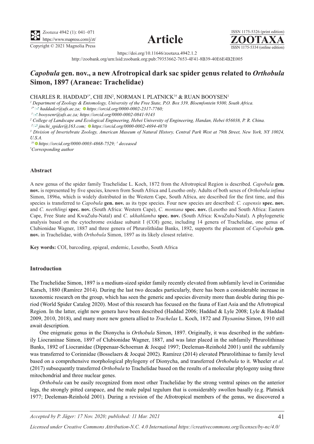 Capobula Gen. Nov., a New Afrotropical Dark Sac Spider Genus Related to Orthobula Simon, 1897 (Araneae: Trachelidae)