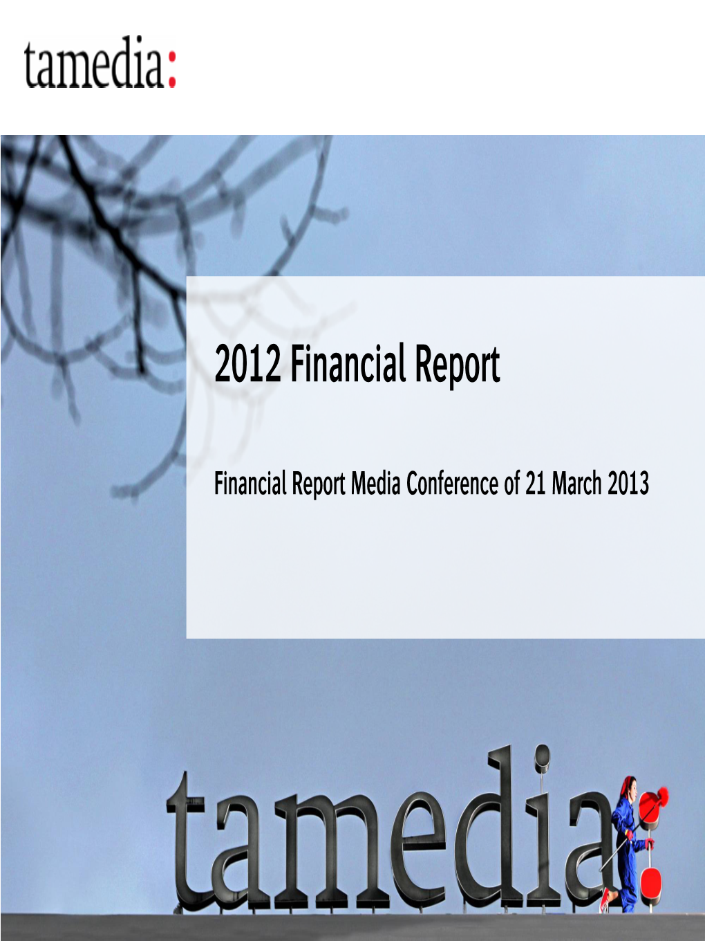 2012 Financial Report