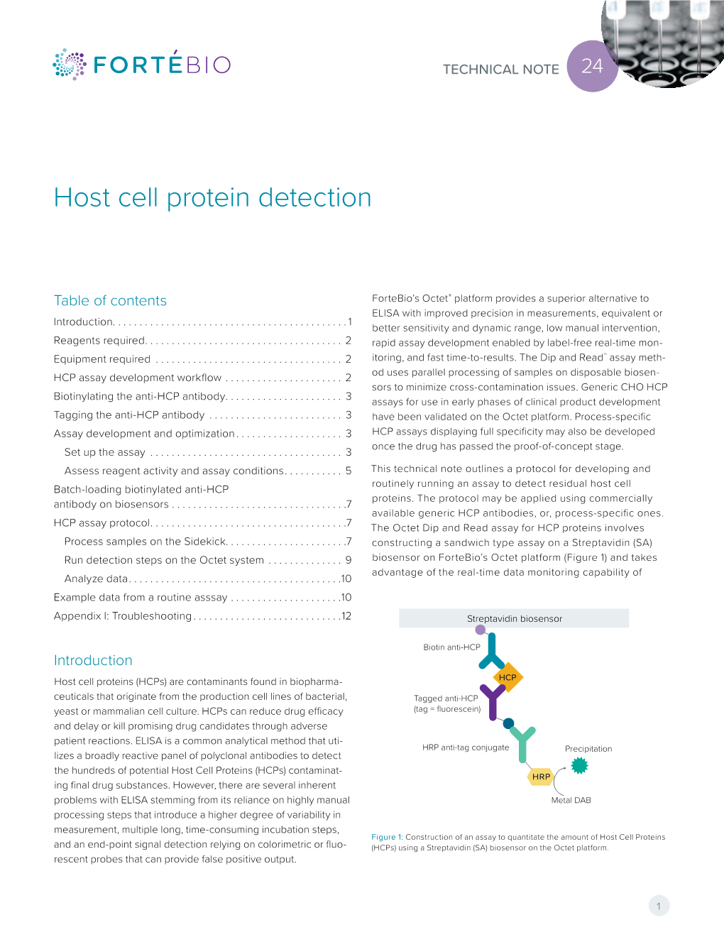 Host Cell Protein Detection