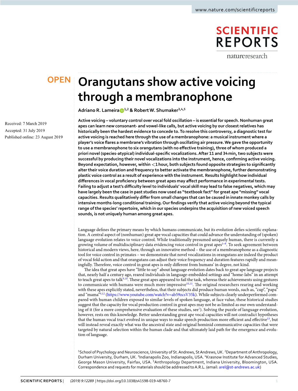 Orangutans Show Active Voicing Through a Membranophone Adriano R