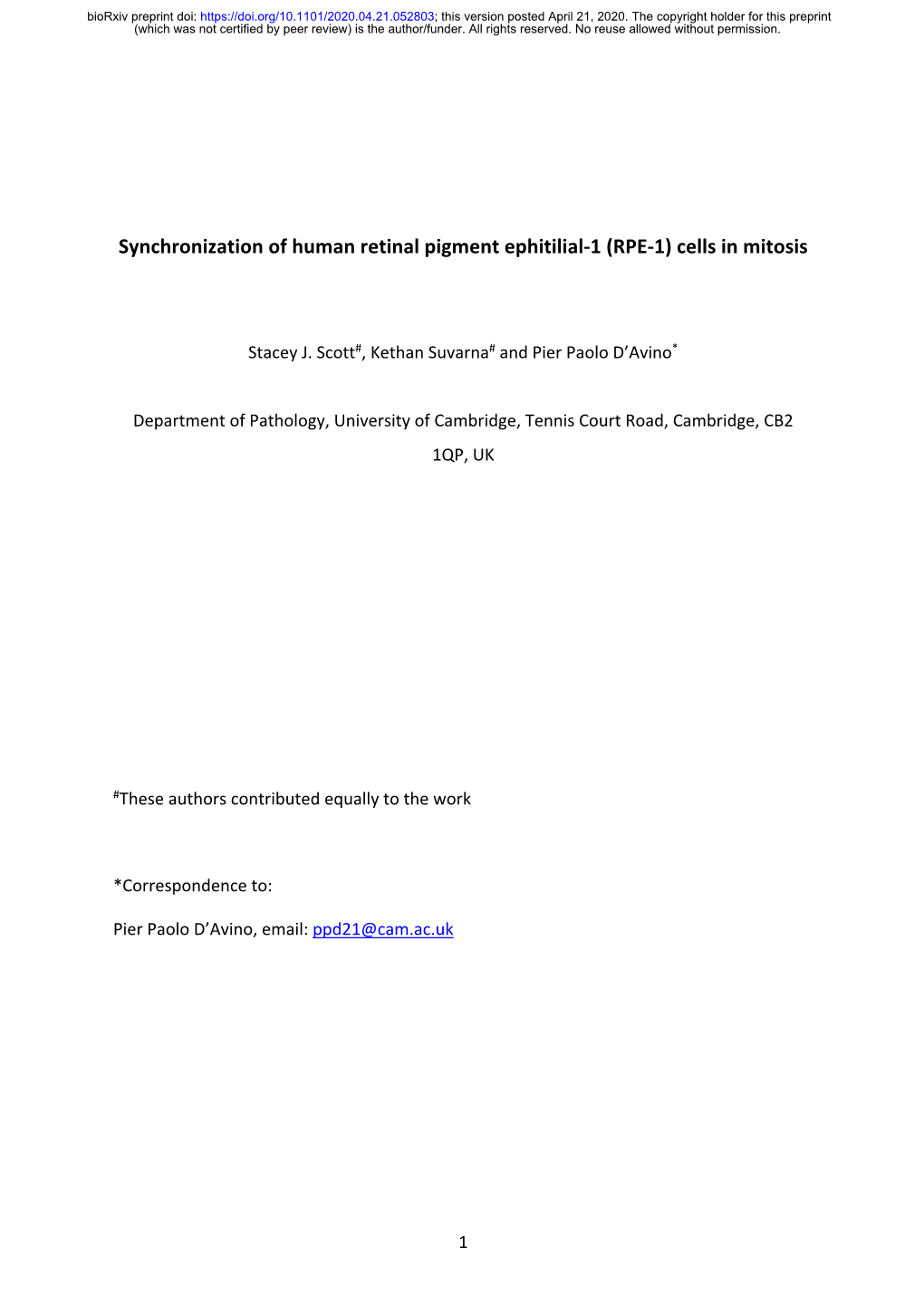 Synchronization of Human Retinal Pigment Ephitilial-1 (RPE-1) Cells in Mitosis