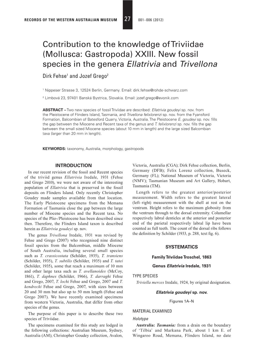 Contribution to the Knowledge of Triviidae (Mollusca: Gastropoda) XXIII