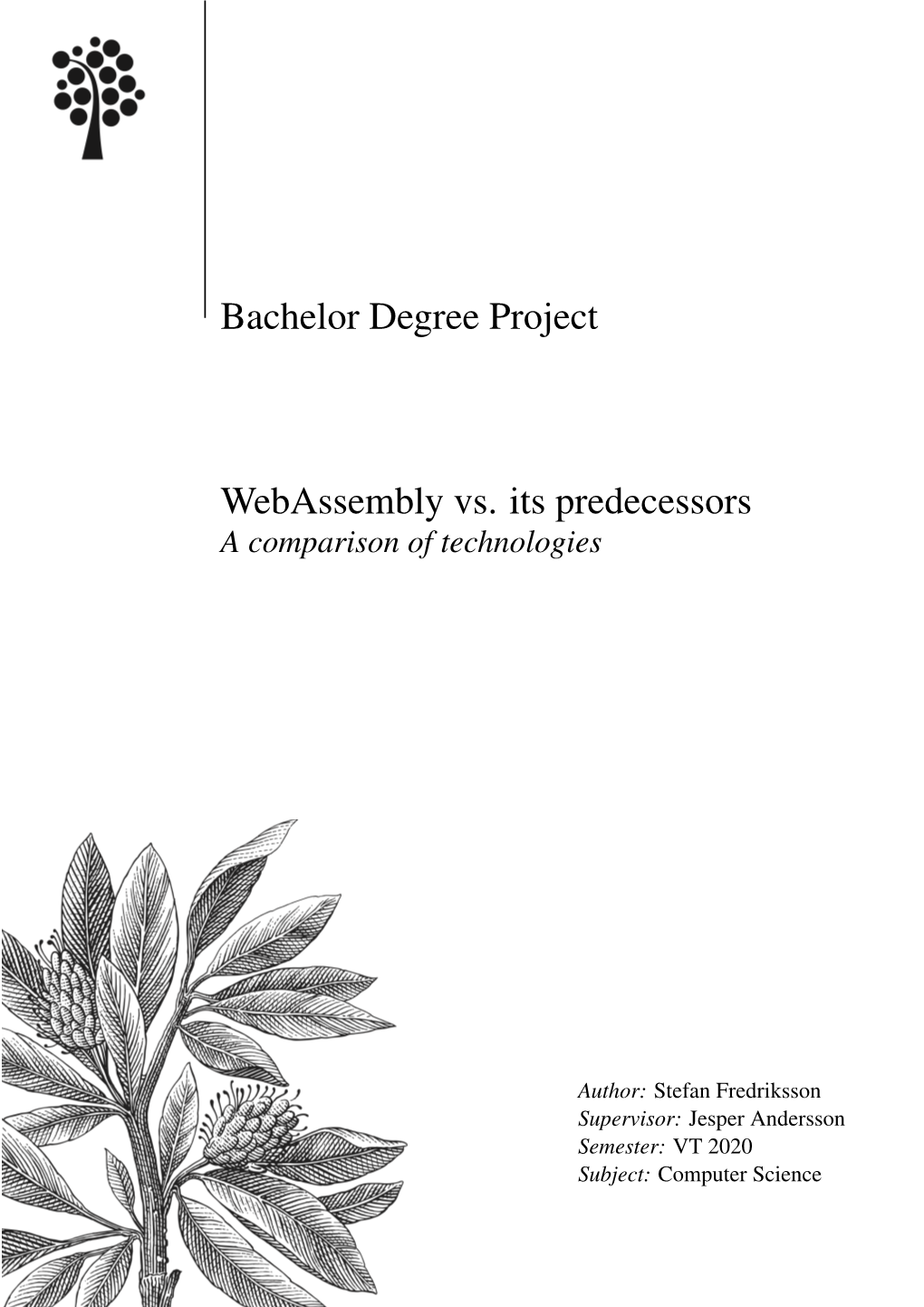 Bachelor Degree Project Webassembly Vs. Its Predecessors