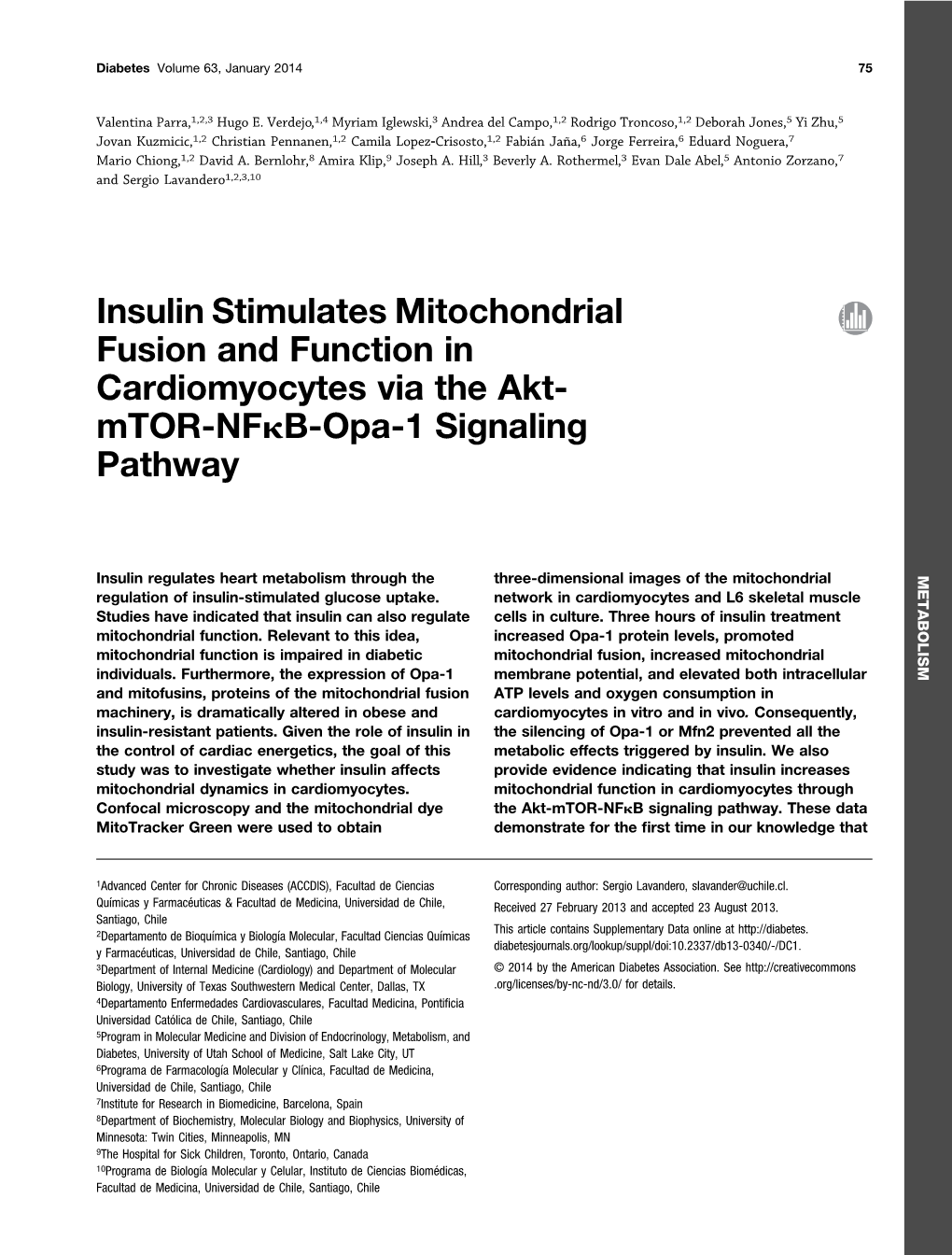 Insulin Stimulates Mitochondrial Fusion and Function in Cardiomyocytes Via the Akt- Mtor-Nfkb-Opa-1 Signaling Pathway