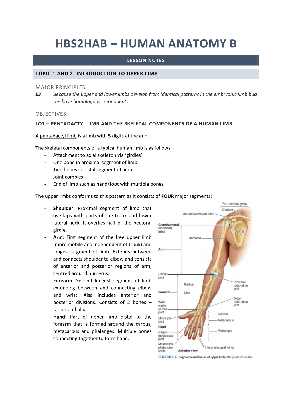 Hbs2hab – Human Anatomy B