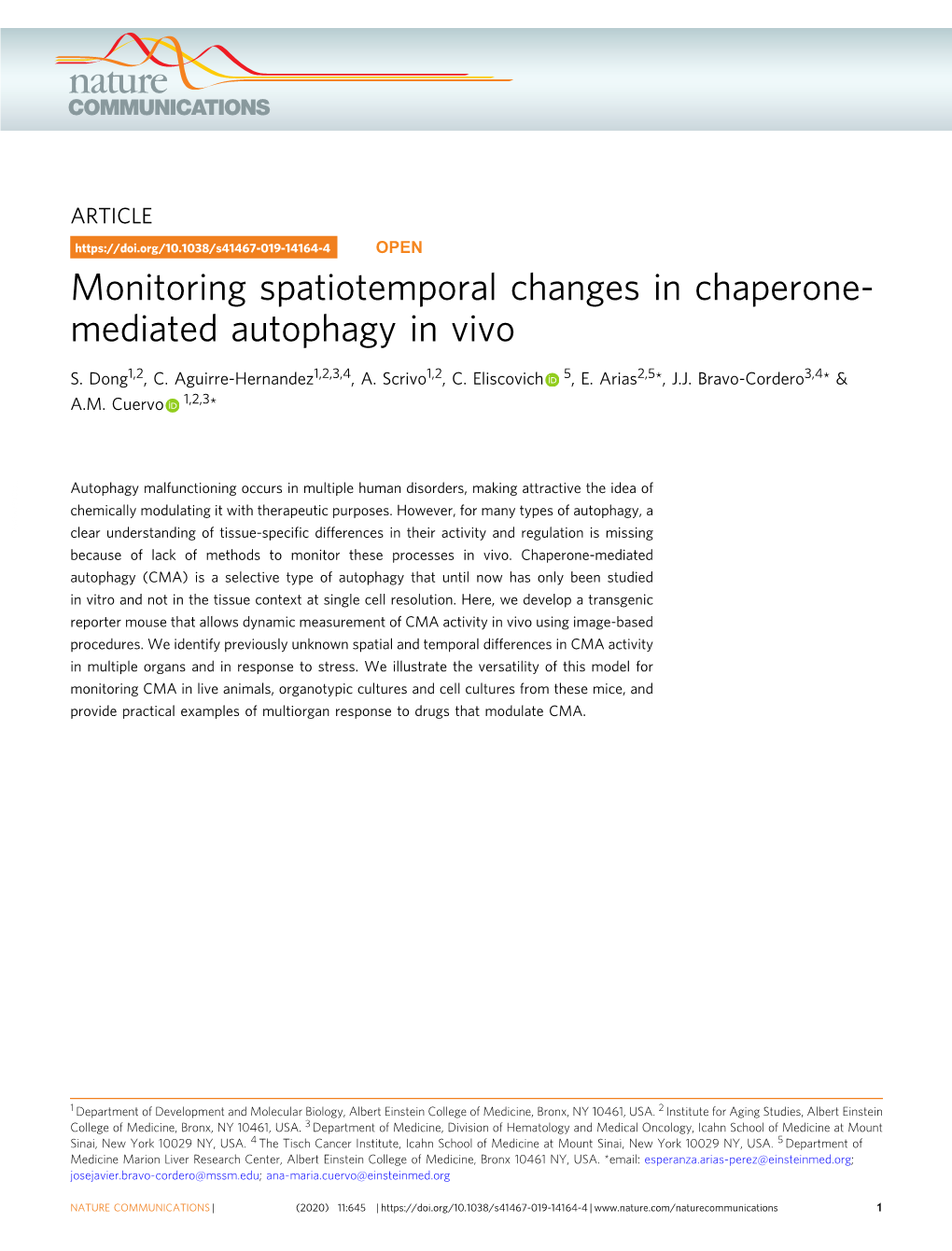 Mediated Autophagy in Vivo