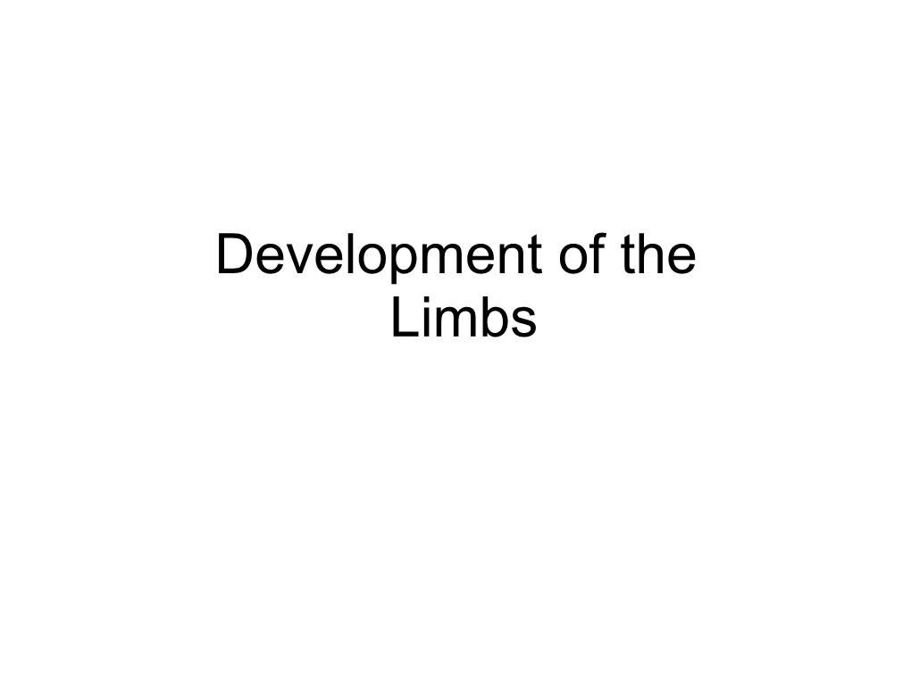 4 Limb Development